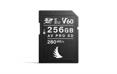 AV PRO SD MK2 256GB V60 (1 PACK)