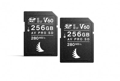 AV PRO SD MK2 256GB V60 (2 PACK)